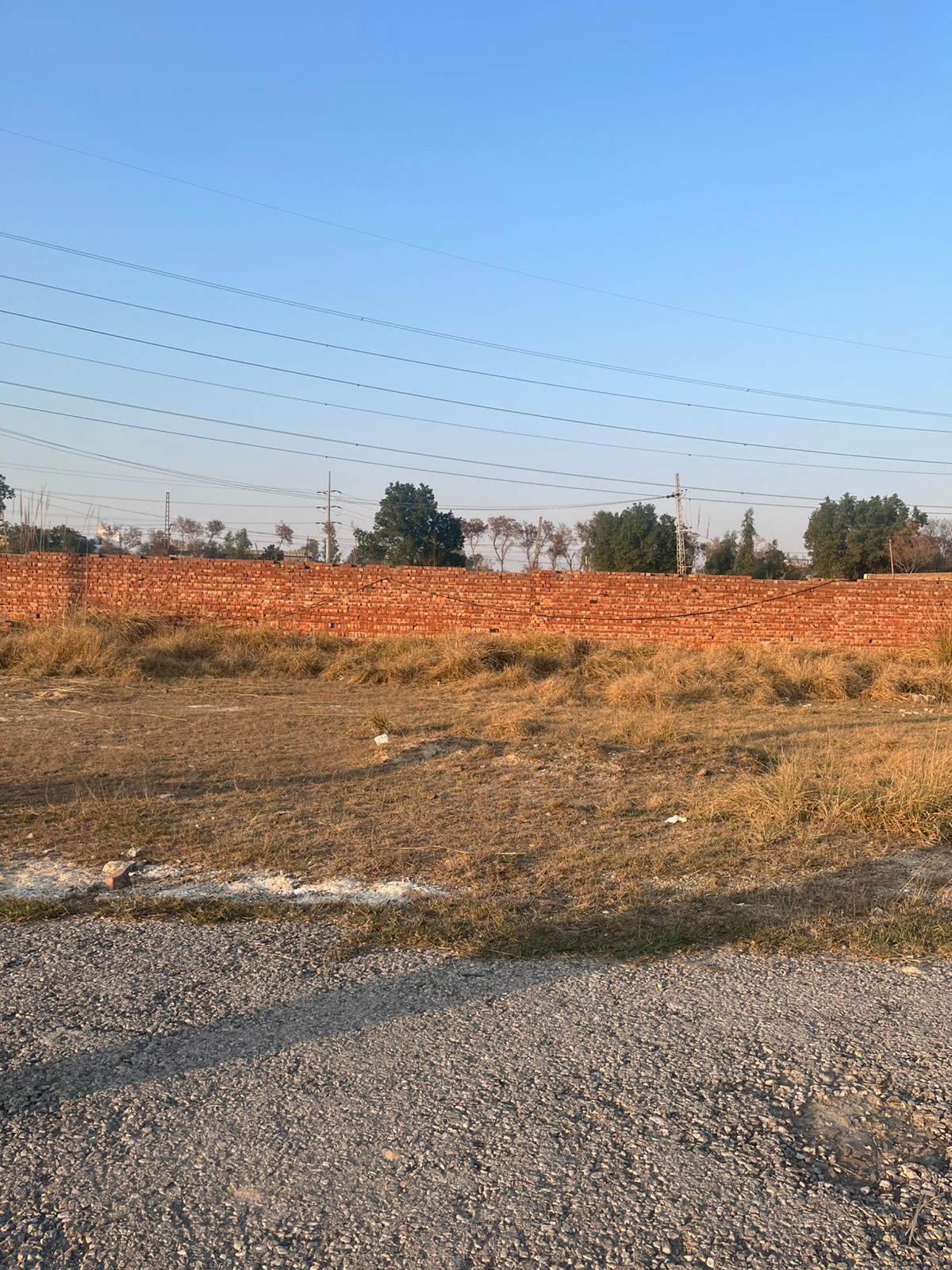 7 Marla residential plot located in the prestigious Sargodha Cooperative Housing Society